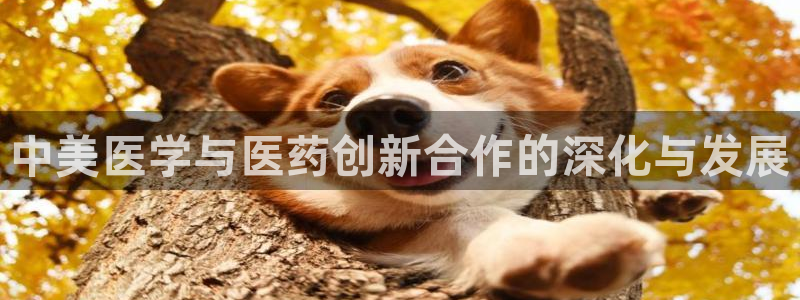 彩名堂计划怎么跟不挂：中美医学与医药创新