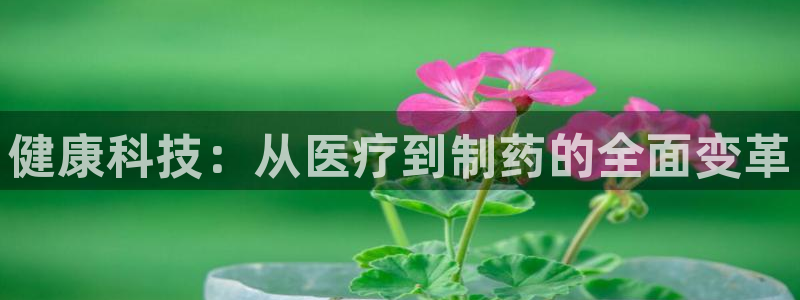 彩名堂合作655560