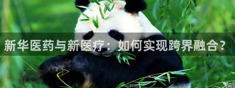 彩名堂免费计划官网购彩计划