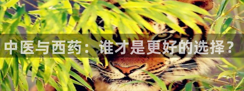 彩名堂一直不出结果怎么回事呢