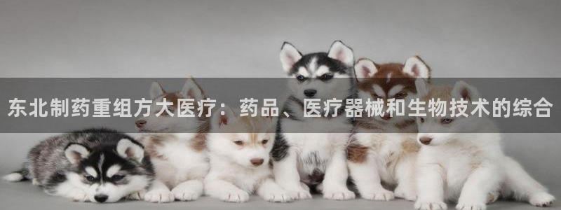 彩名堂免费计划5.0使用方法