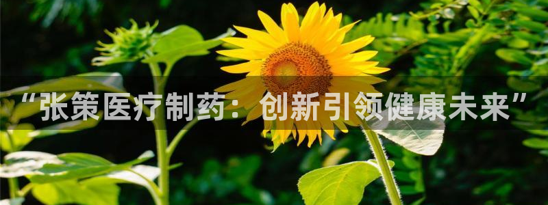 彩名堂官方平台