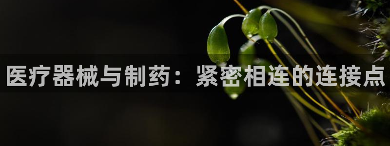 彩名堂全天计划