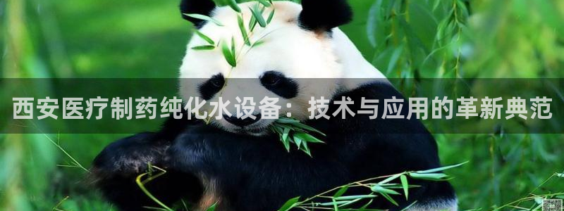 彩名堂预测免费计划怎么看的