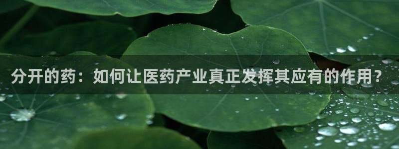 彩名堂免费计划官网5 0