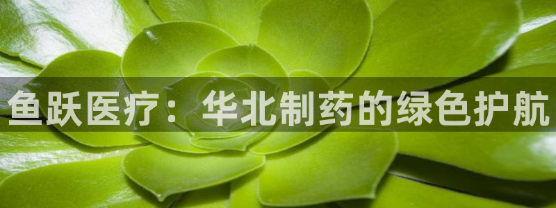 彩名堂怎么跟计划才不连挂在一起