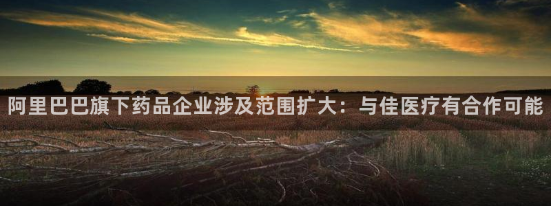 彩名堂预测软件与分析