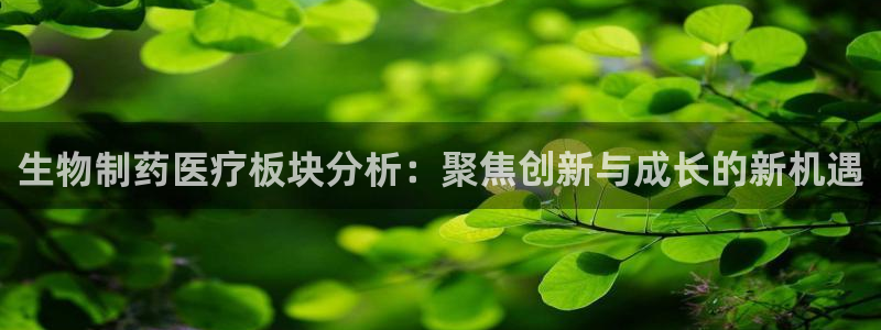 最新彩名堂计划