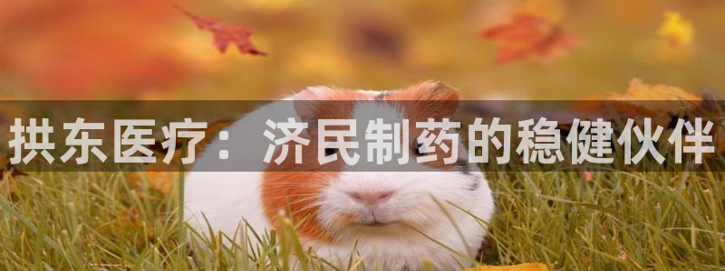 彩名堂用不了