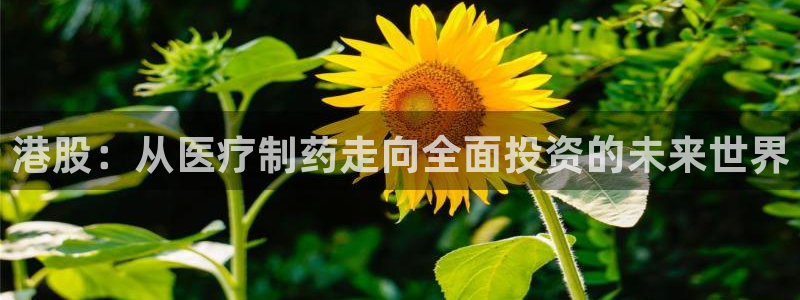 彩名堂跟哪种最好用