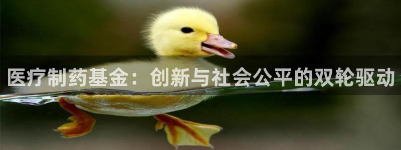 彩名堂预测