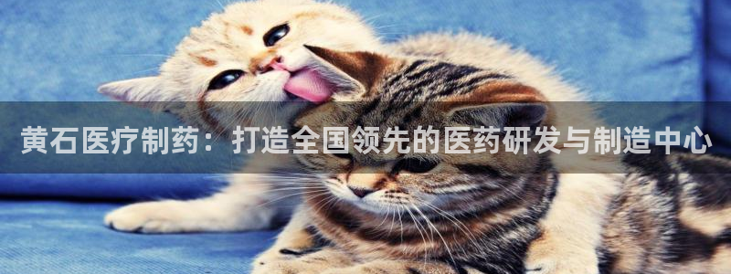 正规彩名堂官网计划