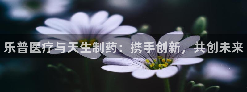 彩名堂用不了
