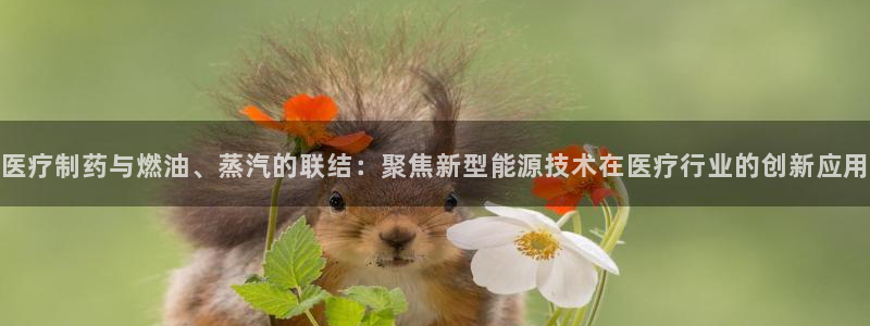 彩名堂图片