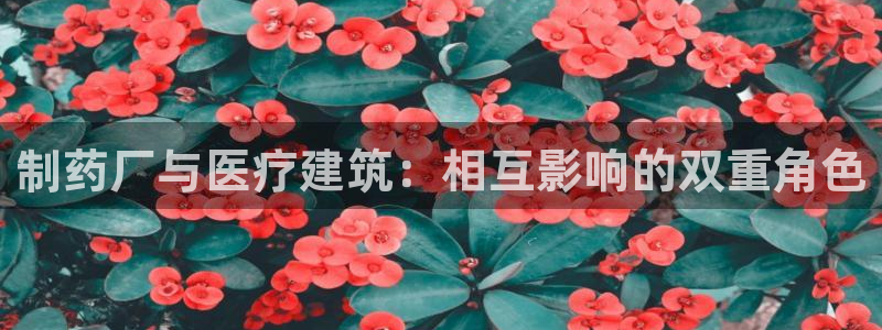 彩名堂官网在线计划