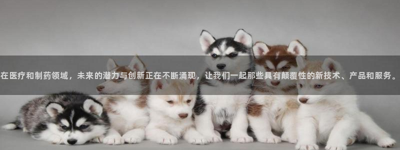 彩名堂最新计划app下载