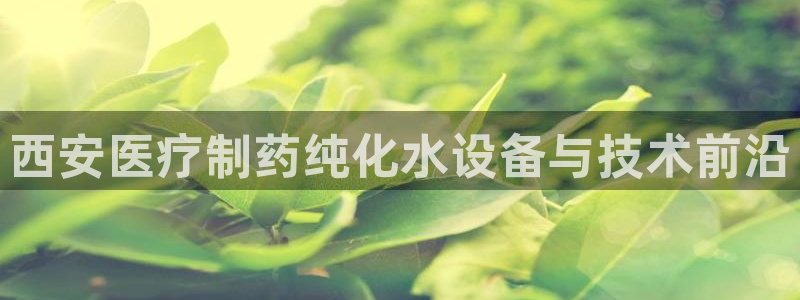 彩名堂是正规的公司吗