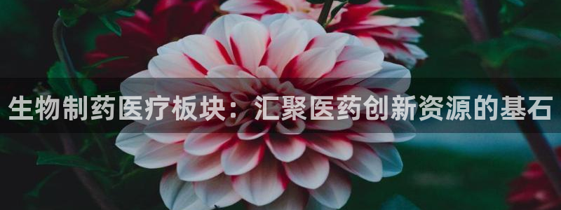 老版彩名堂