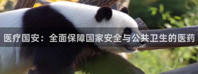 彩名堂跟哪种最好用
