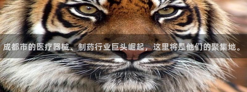 彩名堂app官网
