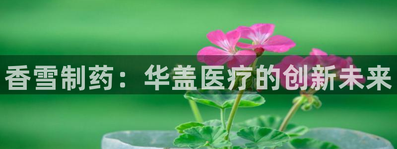 彩名堂免费计划客户端官网