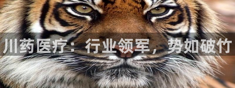 彩名堂苹果客户端