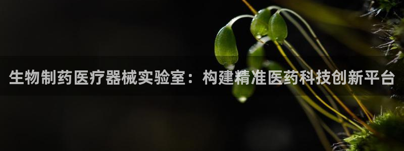 彩名堂免费计划官网怎么进不去了呢