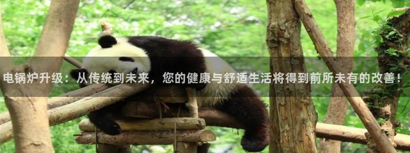 谁知道彩名堂网站是多少