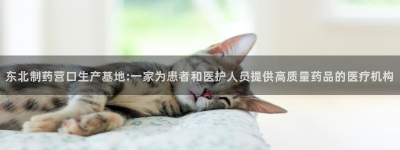 彩名堂预测