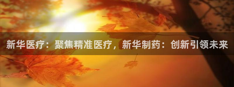 彩名堂免费计划亮点