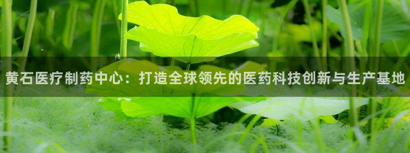 彩名堂怎么选稳定计划