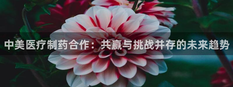 彩名堂怎么打最稳
